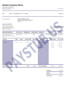 advance sample pay stub 2